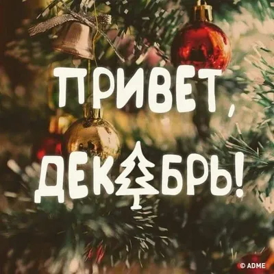 Top Shop𓂀 - Здравствуй, Декабрь!❄️ Привет, Зима! Доброе утро, прекрасный  день! 🤍𝑻𝒐𝒑𝑺𝒉𝒐𝒑.𝒂𝒎𓂀 @topshop.am_ @topshop.am_ #yerevan #armenia  #topshop #quotes #love #thoughts #thoughts💭 #things #color #life #love  #heart #loveyourself ...