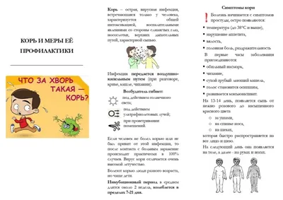 Корь. Симптомы, лечение, профилактика, прививки - Министерство  здравоохранения Республики Ингушетия