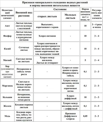 Признаки нехватки микроэлементов у растений — Дефицит фосфора, азота,  железа | KVITOFOR