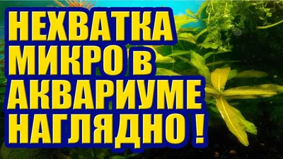 Иллюстрация 1 из 18 для Агрохимия. Учебник - Василий Минеев | Лабиринт -  книги. Источник: Лабиринт