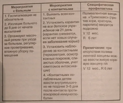 Всё, что надо знать о кори - Аналитический интернет-журнал Власть