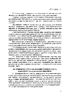 Краснуха — что это за болезнь, чем она опасна для детей и как ее лечить