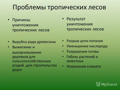 Презентация на тему: \"Исчезающие тропические леса Работу выполнили ученики  4-в класса.\". Скачать бесплатно и без регистрации.