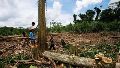 Проблемы устойчивого развития человека: глубокие корни «антропоцена» можно  найти в тропических лесах | -europeantimes.news-