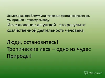 Проблема исчезновения тропических лесов глазами учеников 4 класса