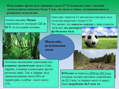 Тропические леса восстанавливают с помощью отходов кофе