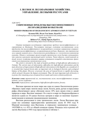 Исчезновение тропических лесов в рисунках и картинках