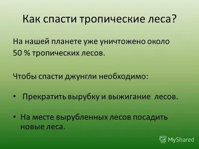 Исчезновение лесов – мировая проблема - online presentation