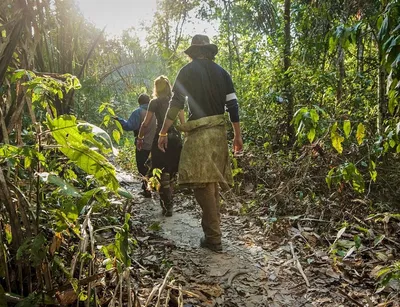 Пять мифов о влажных тропических лесах
