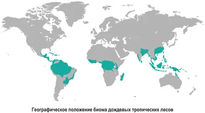 Исчезающие тропические леса Амазонки