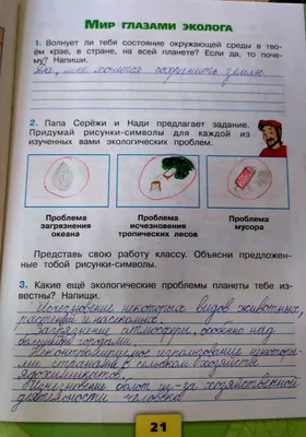 Тропические леса Великобритании отчаянно пытаются спасти от исчезновения