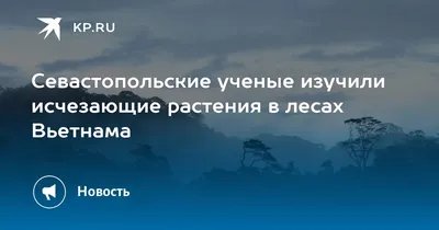 Проблемы рационального использования тропических лесов – тема научной  статьи по сельскому хозяйству, лесному хозяйству, рыбному хозяйству читайте  бесплатно текст научно-исследовательской работы в электронной библиотеке  КиберЛенинка