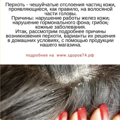 Scalp pigmentation | Vladivostok