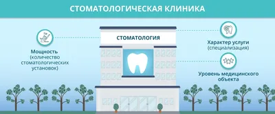 Как открыть стоматологию: с чего начать, что нужно, пошаговая инструкция