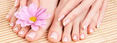 Angel Nails: маникюр, педикюр, шугаринг, коррекция бровей | Москва