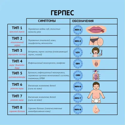 8 видов герпеса: от «простуды» на губе до злокачественной опухоли | LabHub  | Дзен