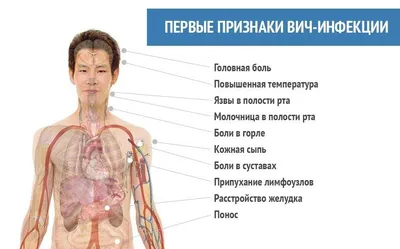 ВИЧ: причины появления, симптомы, диагностика и способы лечения. |  Ставропольский краевой клинический многопрофильный центр