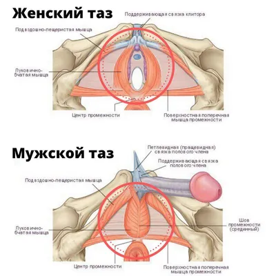 Опущение матки: причины, симптомы и лечение