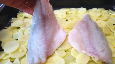 Домашние простые блюда из рыбы. – смотреть онлайн все 14 видео от Домашние простые  блюда из рыбы. в хорошем качестве на RUTUBE