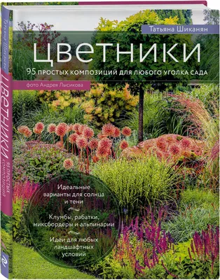 Простые и красивые клумбы из дерева для террасы и крыльца . . . | Клумбы,  Терраса, Сад