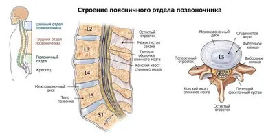 Протрузия дисков шейного отдела лечение в «Здоровье нации» центр  кинезитерапии в Днепре