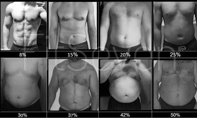 Процент жира в организме — как узнать? Фотографии и таблицы с примерами |  Фитсевен | Дзен