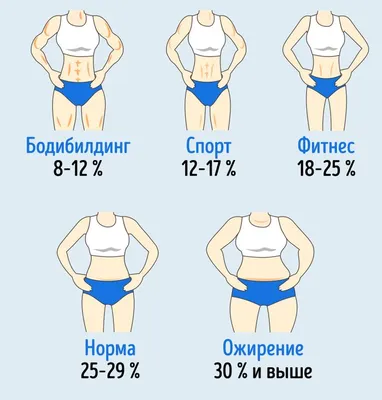 Определение процента жировой ткани