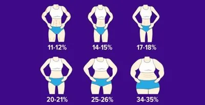 инфографика процентного содержания жира в организме, фото процент жира в  организме мужчины, толстый, тело фон картинки и Фото для бесплатной загрузки