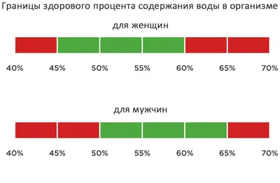 Почему не уходит жир с живота?