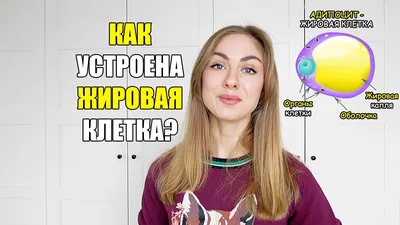 Фитнес по-прежнему на пике популярности, однако идеальная спортивная форма  не обязательно равна здоровью | Yle