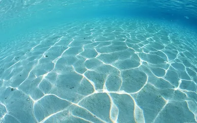 X 上的 Ботаничка：「Прозрачная вода озера Флатхед (Flathead Lake).  http://t.co/ATVqR3GKVi」 / X