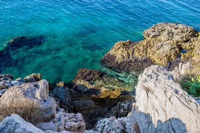 Прозрачная вода – фотографии – Симилианы, Таиланд