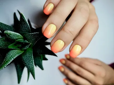 Прозрачные ногти длинные поталь | Pretty acrylic nails, Acrylic nails, Nail  art