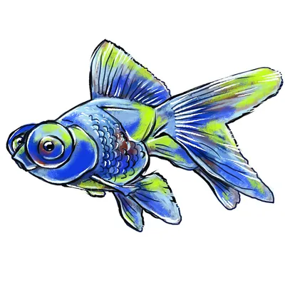 Топ 10 флуоресцентных рыб