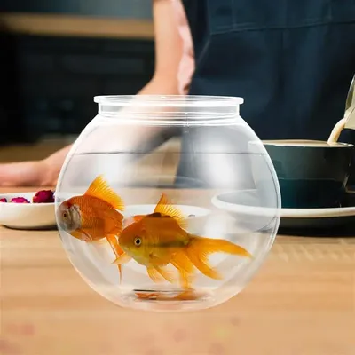 Акриловая акриловая кормушка для аквариумных рыб, прозрачный плавающий  поднос для корма для рыб, аквариум – лучшие товары в онлайн-магазине Джум  Гик