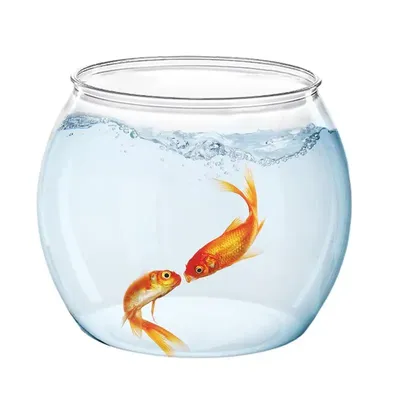 Купить Ваза настенная мини-аквариум для рыбы стеклянная ваза для аквариума  подвесная стеклянная миска для рыбы прозрачная | Joom