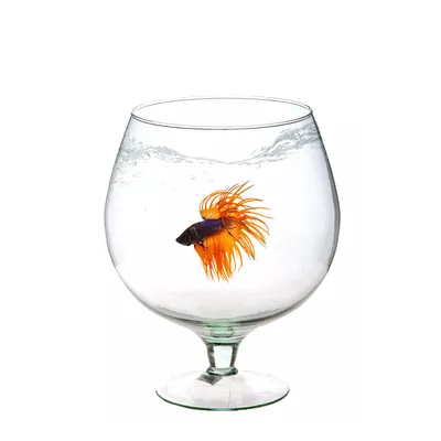 Fish бачок чаша, Небьющийся аквариум для рыбок Bettas, маленький прозрачный  круглый аквариум для настольного мини-аквариума для золотой рыбы |  AliExpress