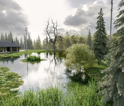пруд в лесу - Работа из галереи 3D Моделей