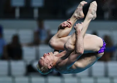 Ставропольский прыгун в воду замкнул пятёрку лучших на Олимпийских играх |  Своё ТВ