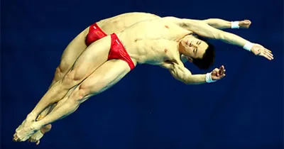 Тренер прыгунов в воду: Кузнецов подтвердил, что может бороться c лучшими -  РИА Новости Спорт, 03.08.2021