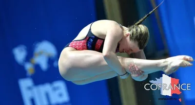 Команда мечты по прыжкам в воду. Чем крут Китай? - «Sport On-Line» - Блоги  - Sports.ru