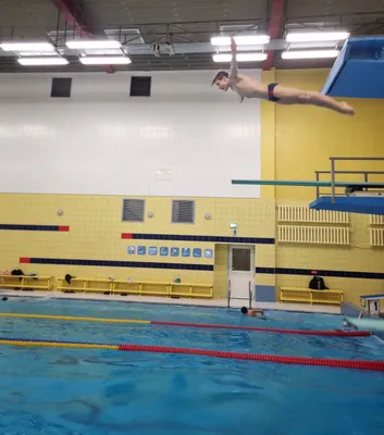 ФОТО: российские прыгуны в воду провели первую тренировку в Токио – новости  | TeleSport – бесплатные прямые онлайн трансляции / TELESPORT