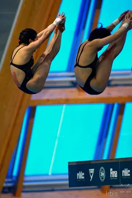 Почему в олимпийском бассейне для прыжков в воду разбрызгивают воду? |  Аква-Космос | Дзен