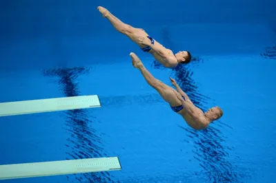 Спортивная секция: прыжки в воду — РосОбразование