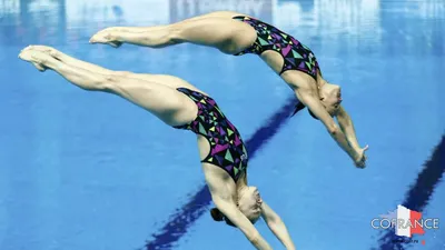 В Российской федерации прыжков в воду изучат новые критерии допуска россиян  - РИА Новости Спорт, 04.09.2023
