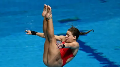 Прыжки в воду — уникальная возможность избавиться от стрессов современной  жизни | Российская Федерация прыжков в воду