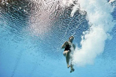 Российская федерация прыжков в воду оспорит критерии допуска спортсменов -  РИА Новости Спорт, 05.09.2023