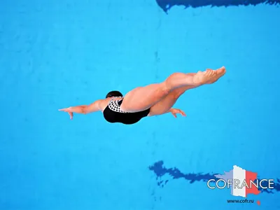 Под водой. 10 удивительных фотографий с чемпионата мира по прыжкам в воду -  KP.RU