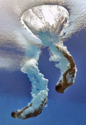 Прыжок в воду / Жанровая фотография / Клуб владельцев техники Olympus