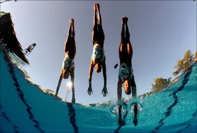 Прыжки в воду - вид водного спорта. Особенности и рекорд | Новости  GoProtect.ru